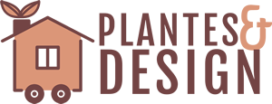plantes et design